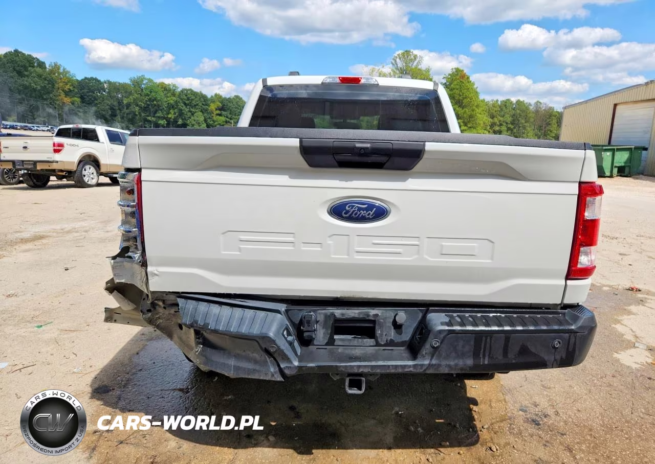 2023 Ford F150 Supercrew VIN:1FTFW1E54PKG00361 - 6