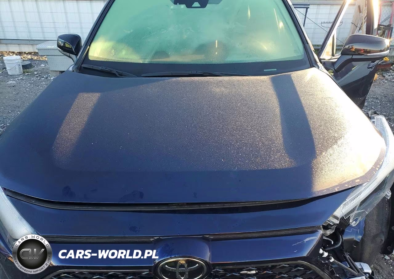 2025 Toyota Rav4 Xse VIN:JTMEB3FV8SD257052 - 11