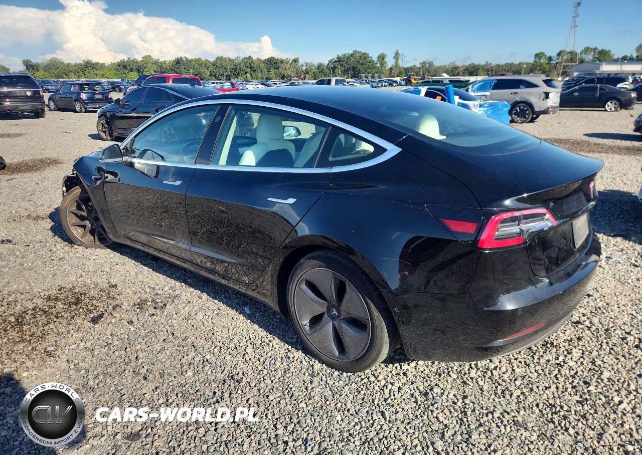 2020 Tesla Model 3 VIN:5YJ3E1EA8LF662064 - 2