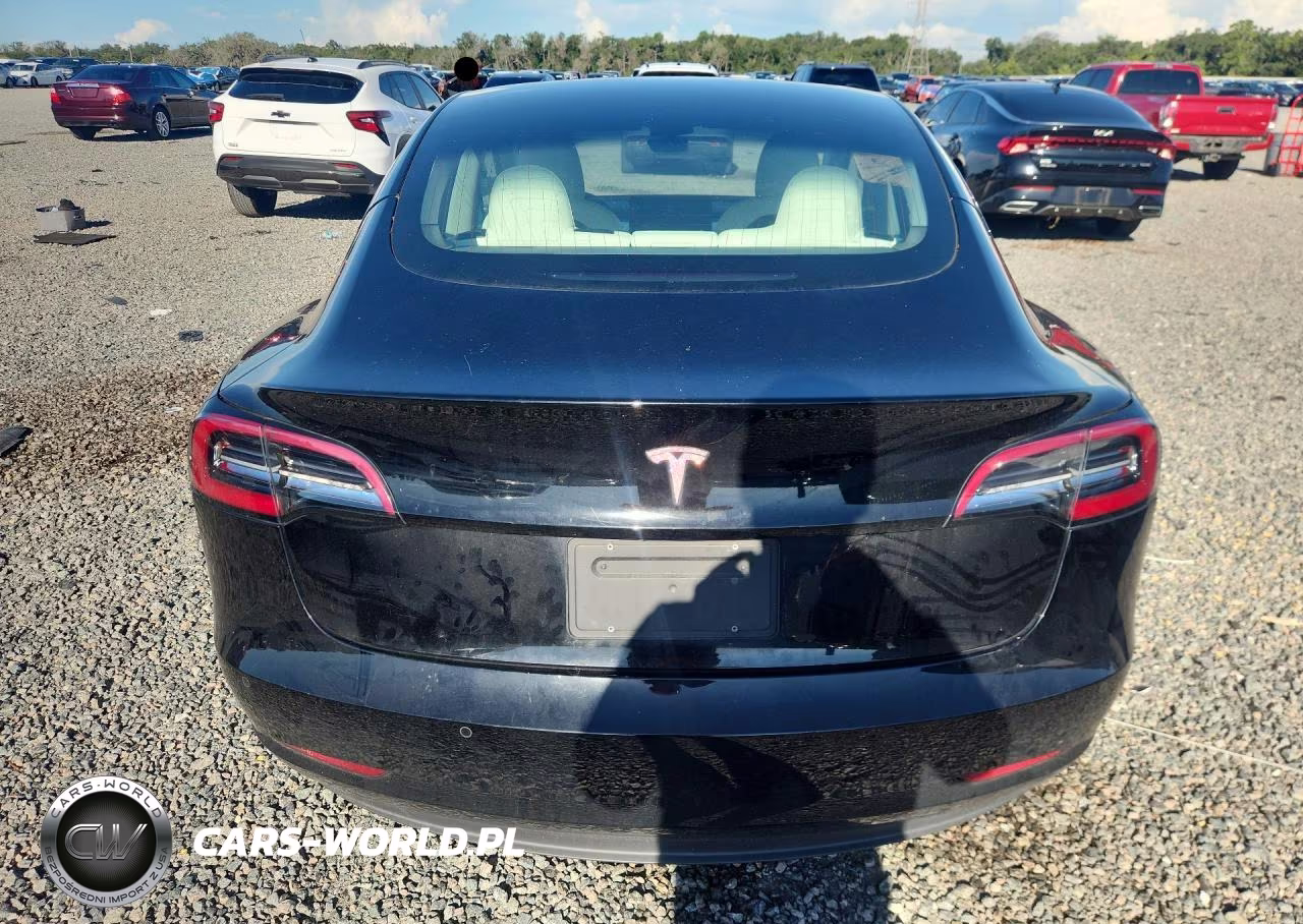 2020 Tesla Model 3 VIN:5YJ3E1EA8LF662064 - 6