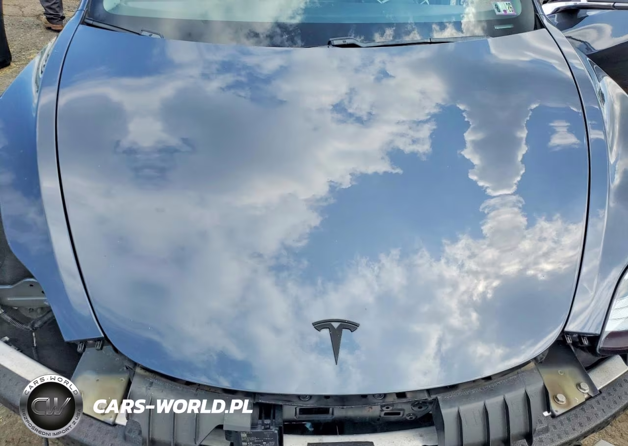 2020 Tesla Model 3 VIN:5YJ3E1EB0LF717504 - 11
