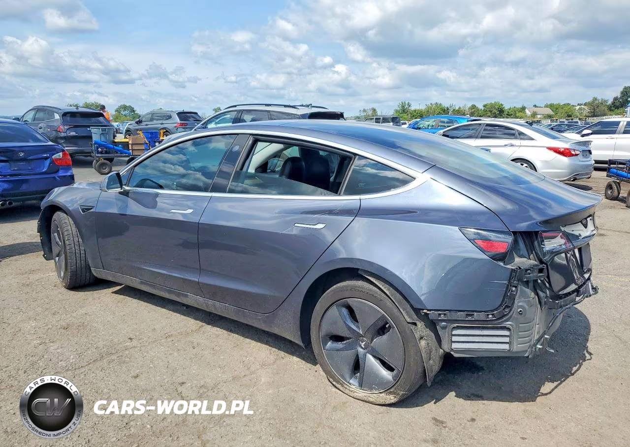 2020 Tesla Model 3 VIN:5YJ3E1EB0LF717504 - 2