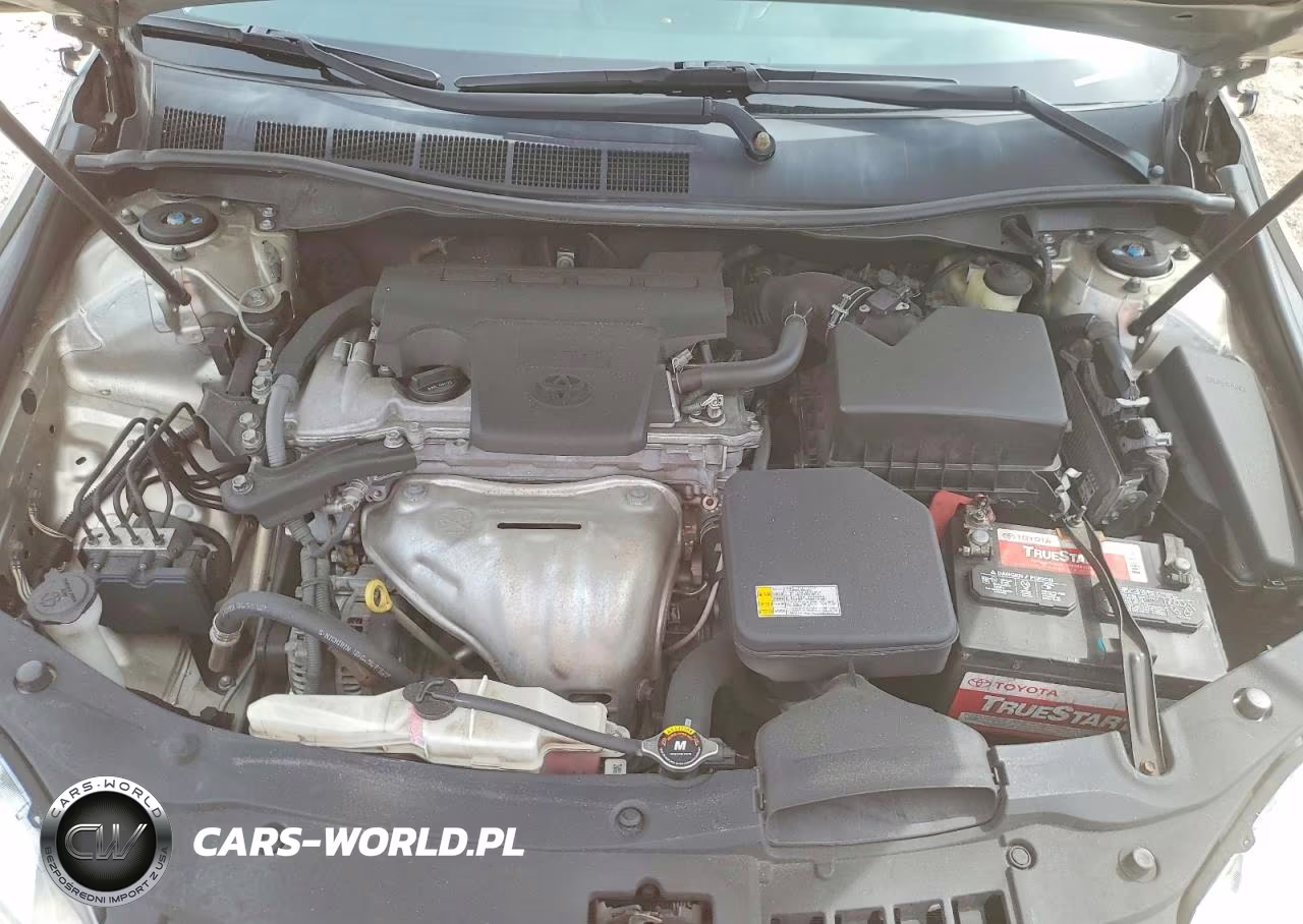 2016 Toyota Camry Se VIN:4T1BF1FK9GU999044 - 11