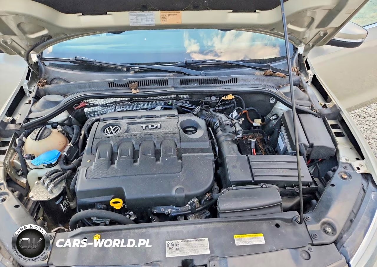 2015 Volkswagen Jetta Tdi VIN:3VWLA7AJ2FM419268 - 11