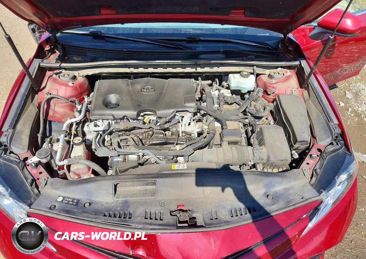 2019 Toyota Camry Le VIN:4T1B31HK3KU512435 - 11