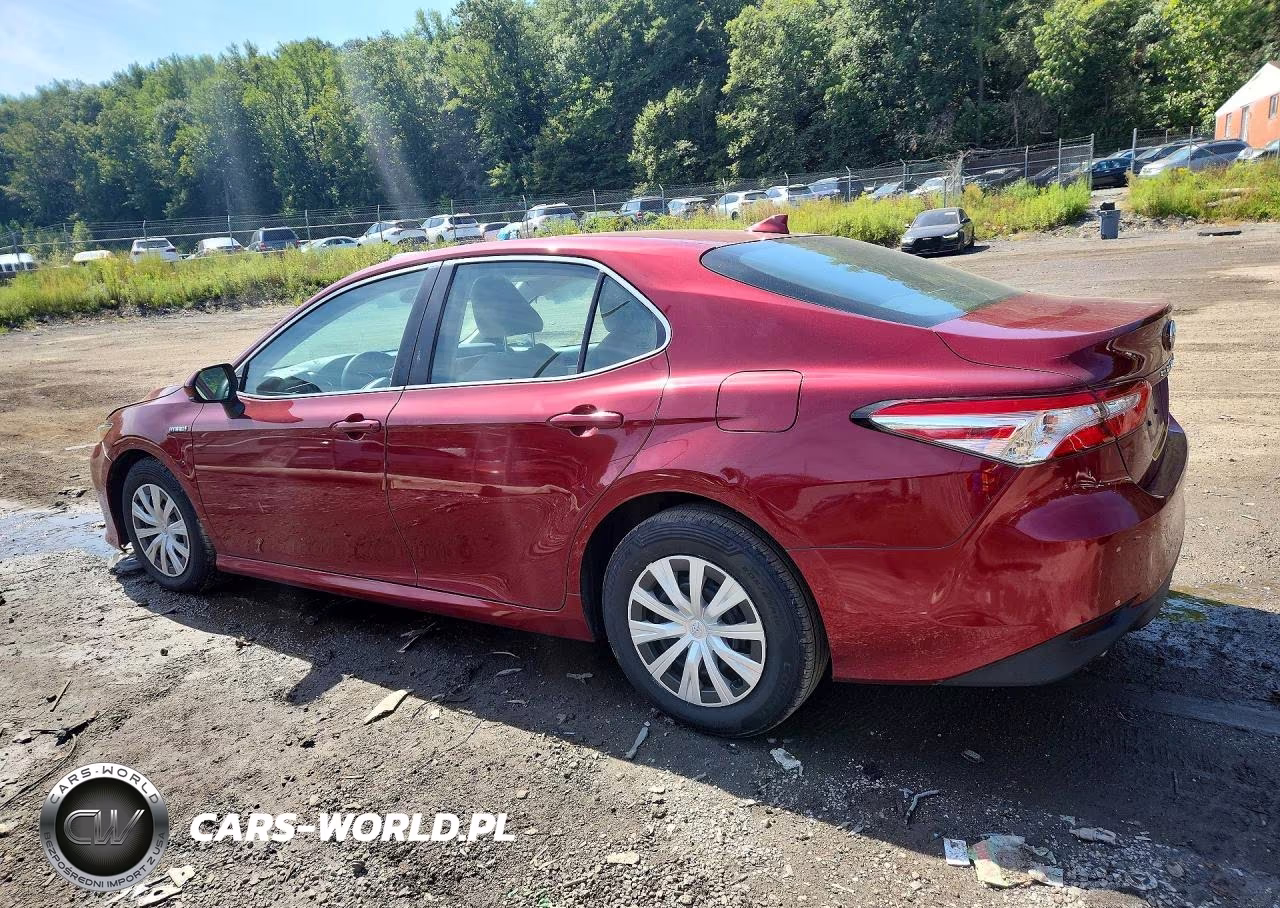 2019 Toyota Camry Le VIN:4T1B31HK3KU512435 - 2