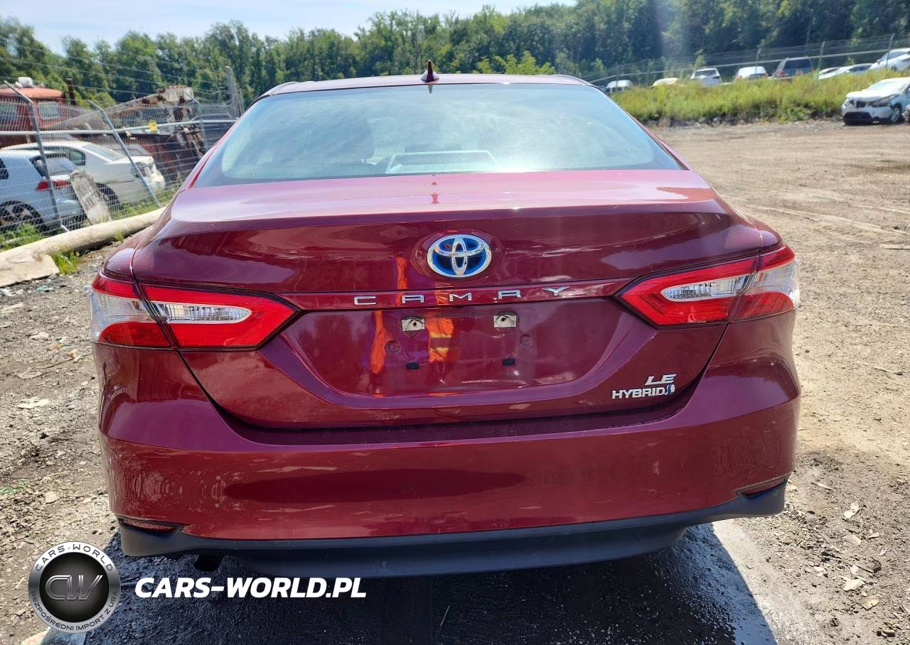 2019 Toyota Camry Le VIN:4T1B31HK3KU512435 - 6