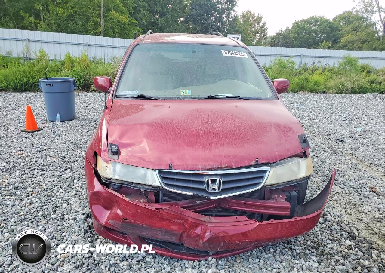 2004 Honda Odyssey Exl VIN:5FNRL18964B110355 - 5