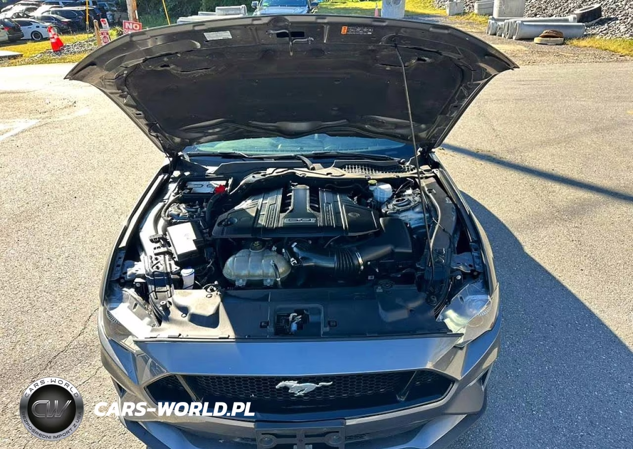 2023 Ford Mustang Gt VIN:1FA6P8CF6P5301914 - 6