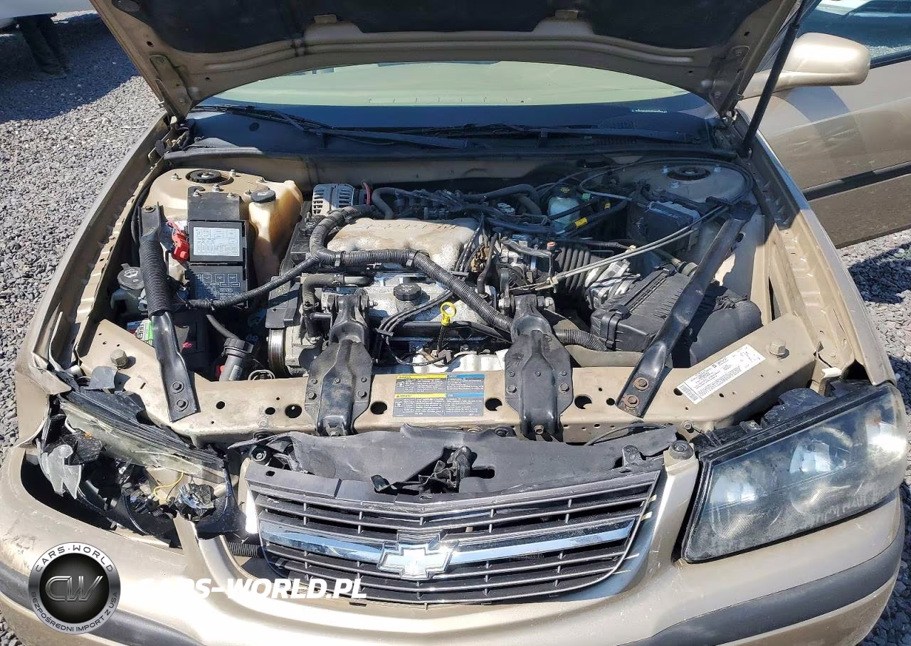 2005 Chevrolet Impala VIN:2G1WF52E459387253 - 11