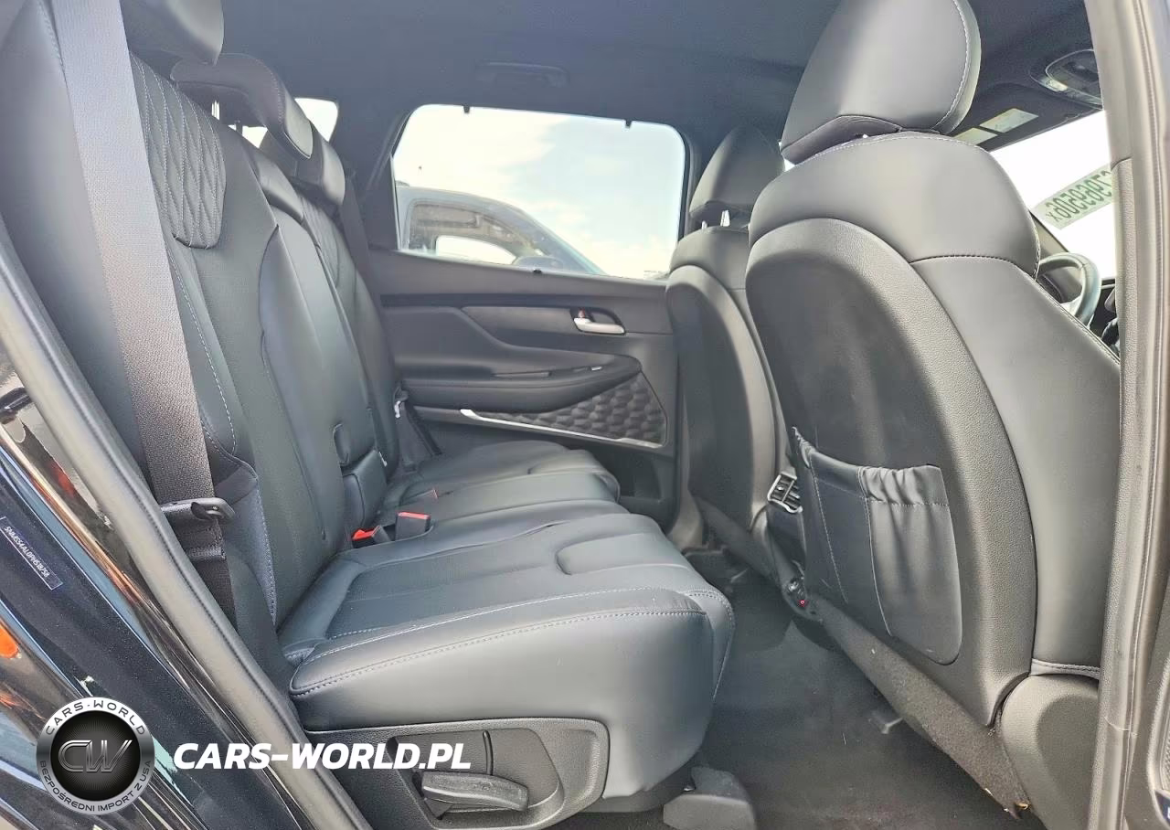 2023 Hyundai Santa Fe Calligraphy VIN:5NMS54AL0PH518758 - 11