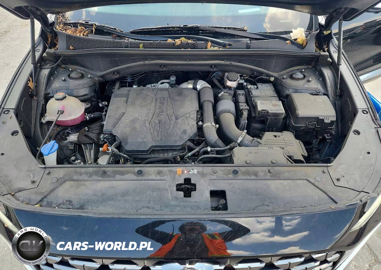 2023 Hyundai Santa Fe Calligraphy VIN:5NMS54AL0PH518758 - 12