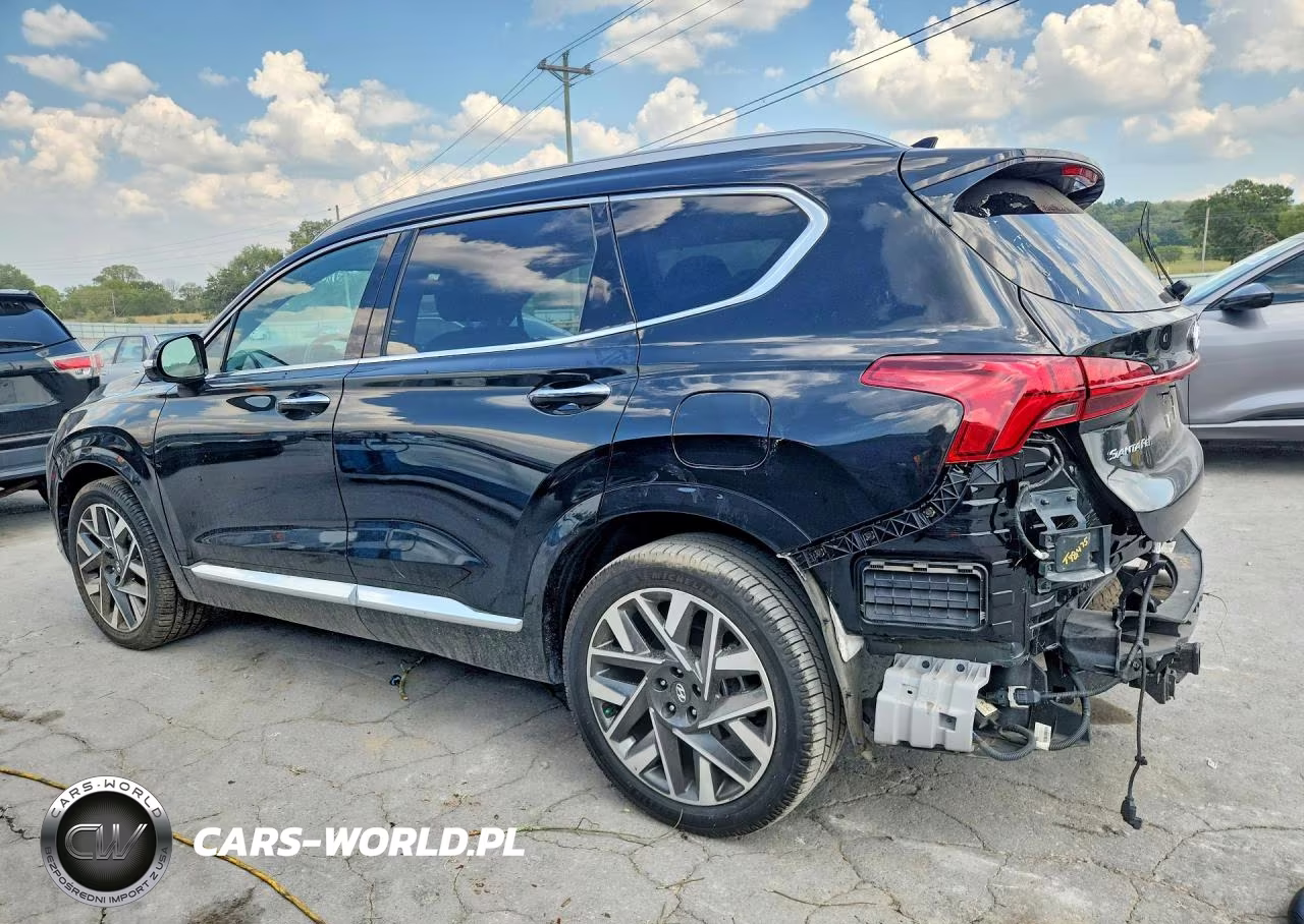 2023 Hyundai Santa Fe Calligraphy VIN:5NMS54AL0PH518758 - 2