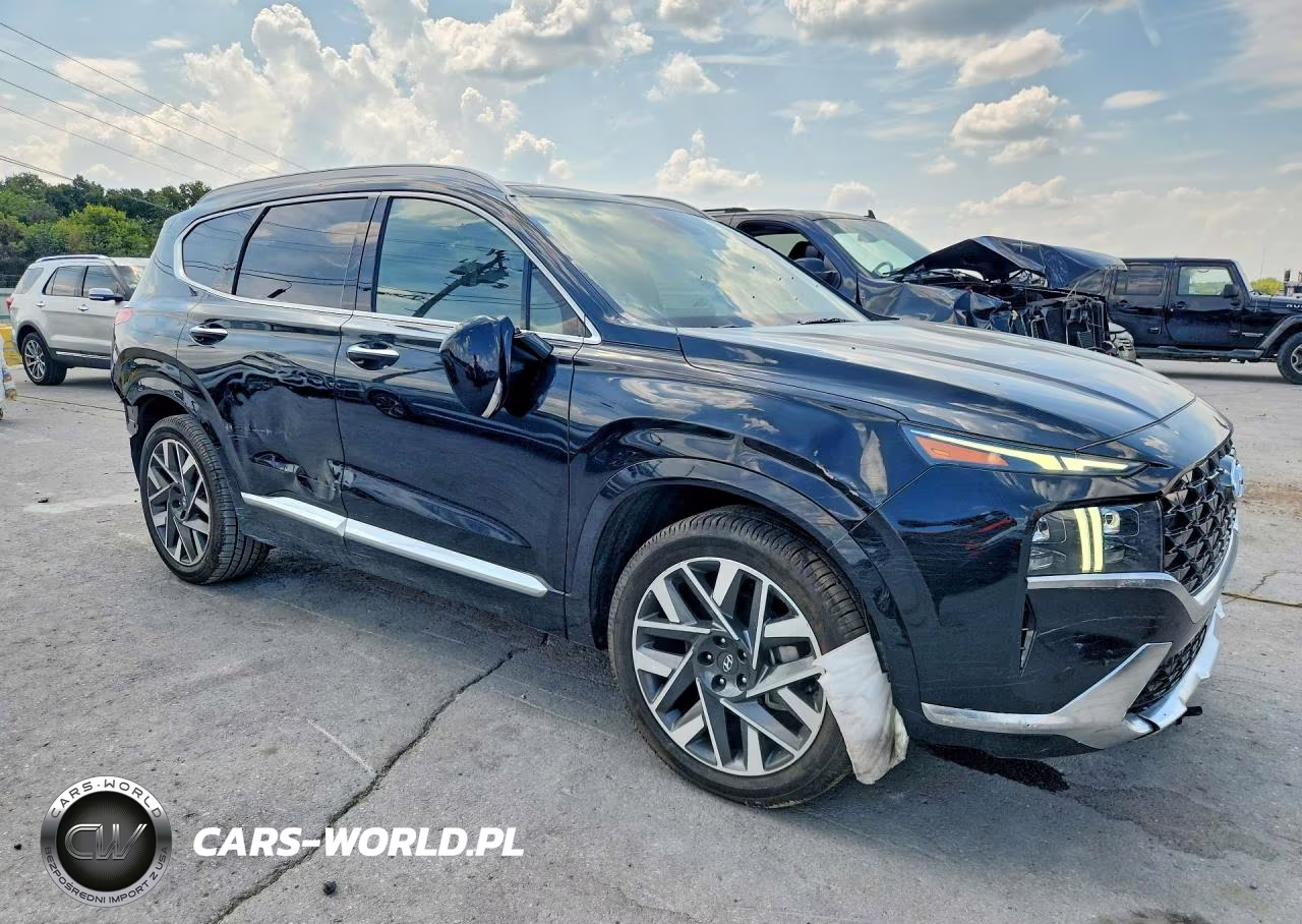 2023 Hyundai Santa Fe Calligraphy VIN:5NMS54AL0PH518758 - 4