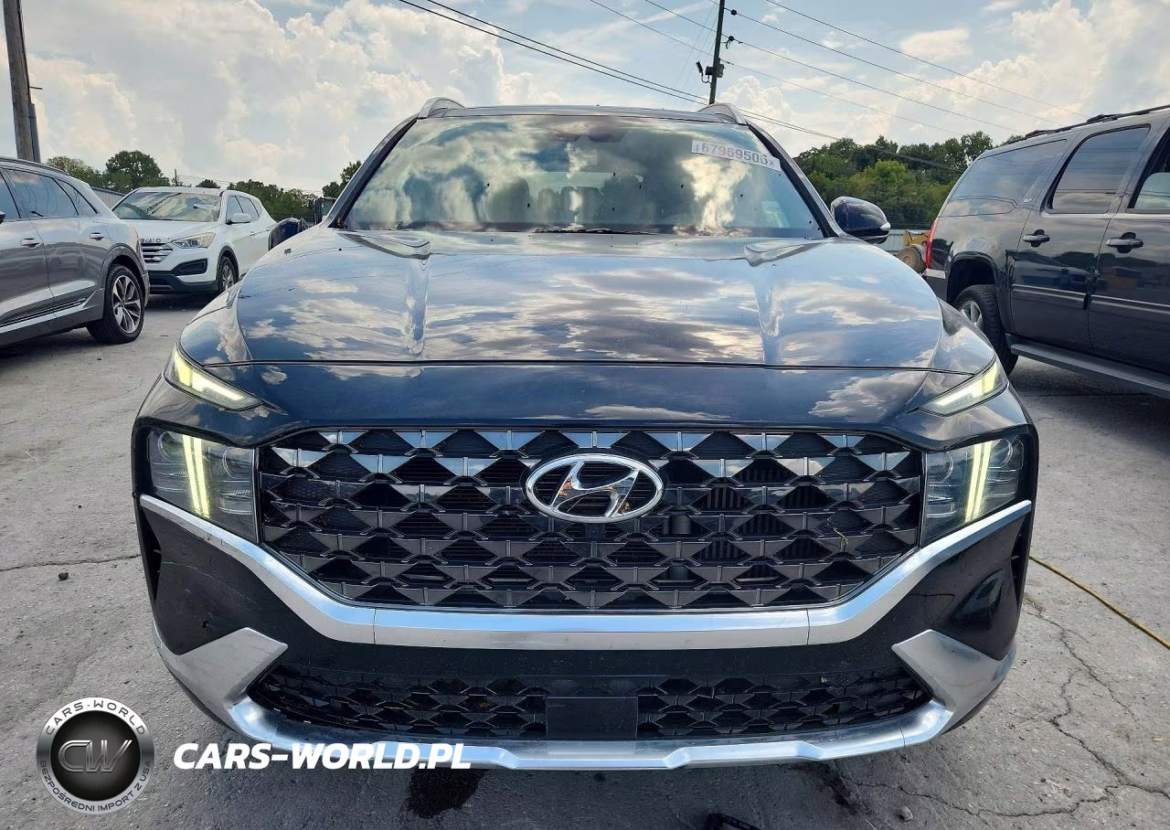 2023 Hyundai Santa Fe Calligraphy VIN:5NMS54AL0PH518758 - 5