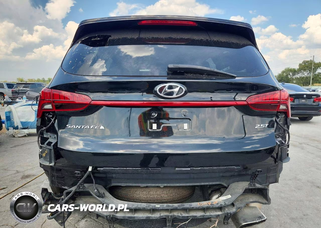 2023 Hyundai Santa Fe Calligraphy VIN:5NMS54AL0PH518758 - 6