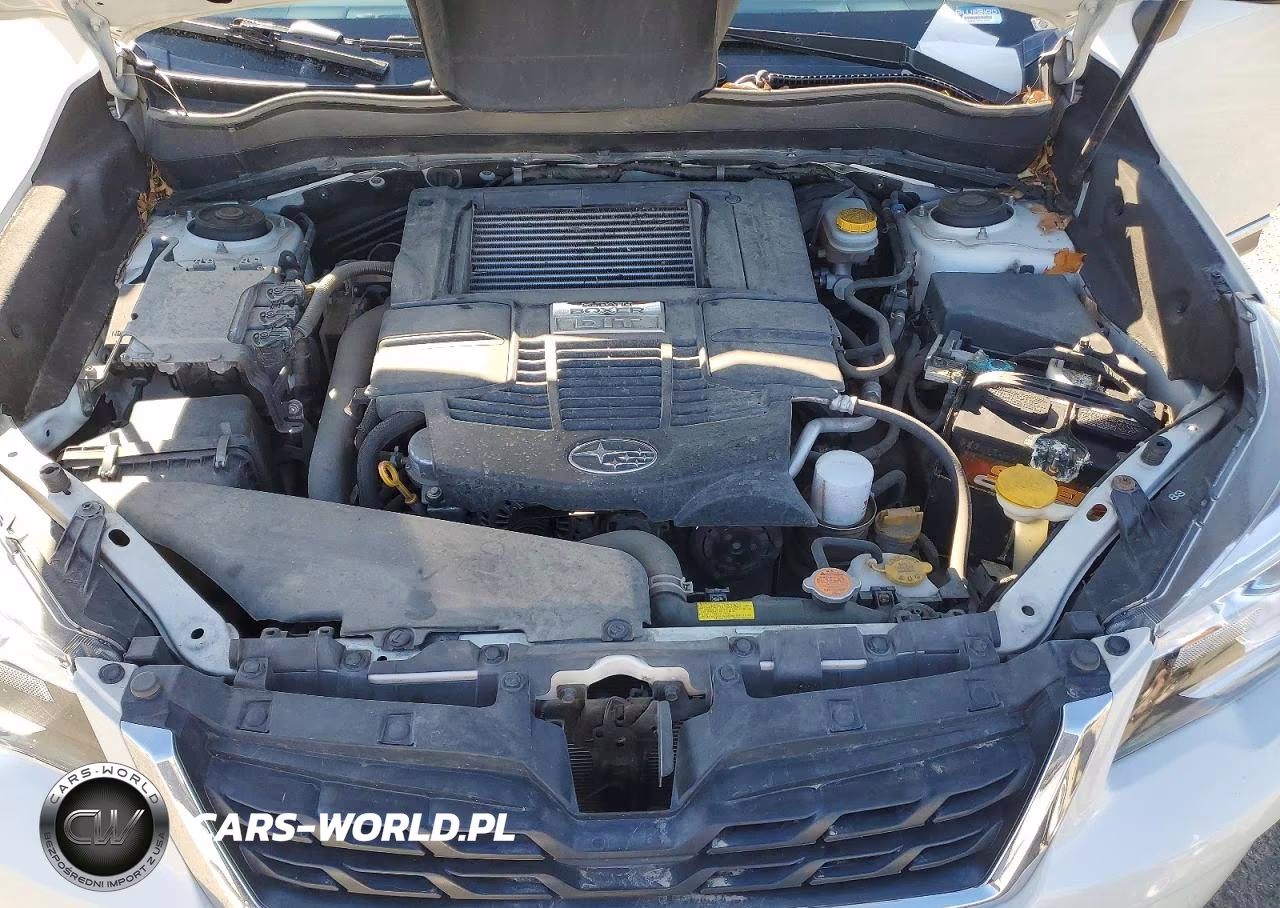 2017 Subaru Forester 2.0Xt Touring VIN:JF2SJGWC2HH806579 - 12