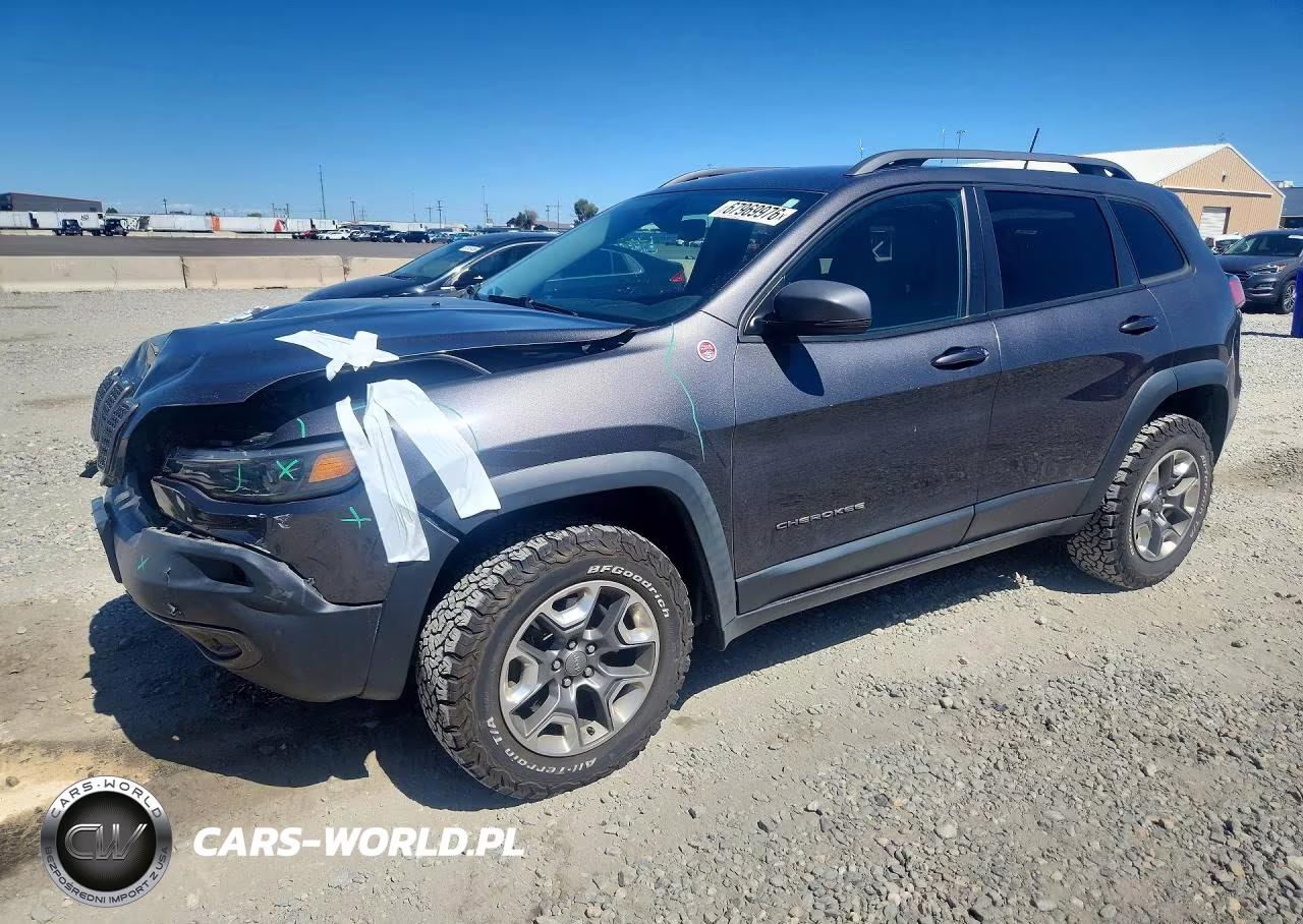 2019 Jeep Cherokee Trailhawk VIN:1C4PJMBX7KD461771 - 1