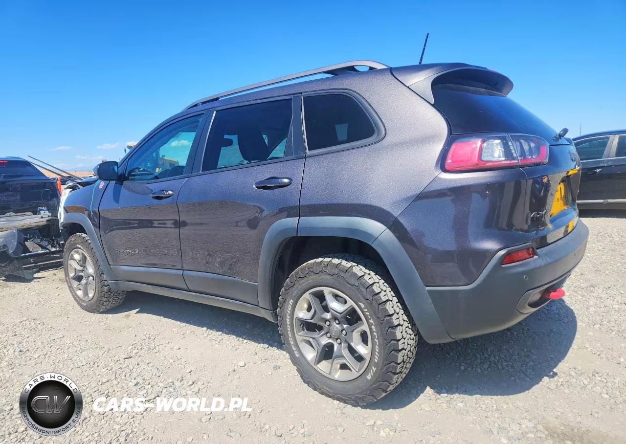 2019 Jeep Cherokee Trailhawk VIN:1C4PJMBX7KD461771 - 2