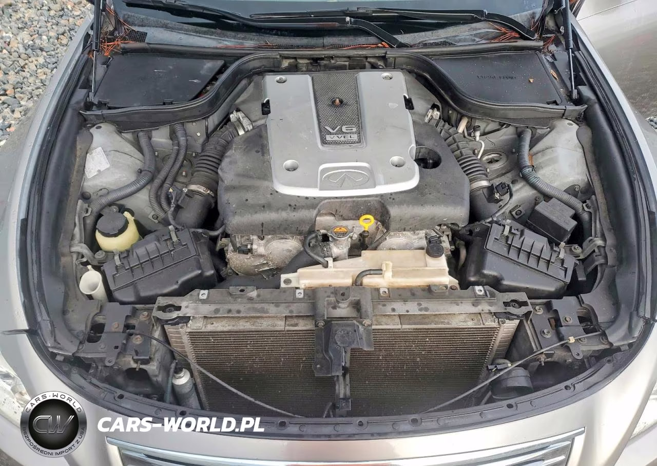 2009 Infiniti G37 Coupe Base VIN:JNKCV64E79M606715 - 11