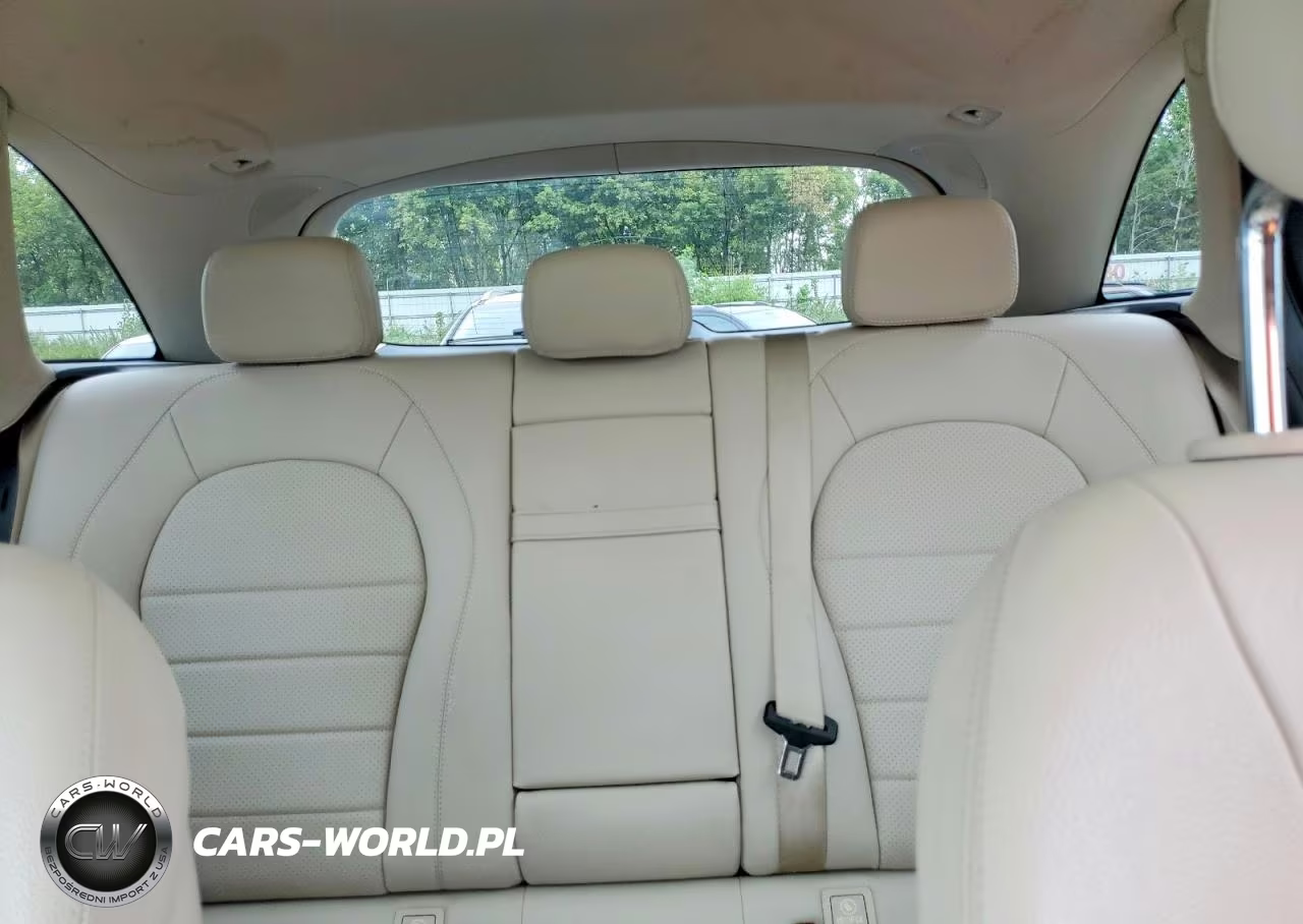 2016 Mercedes-Benz Glc 300 VIN:WDC0G4JBXGF061764 - 10