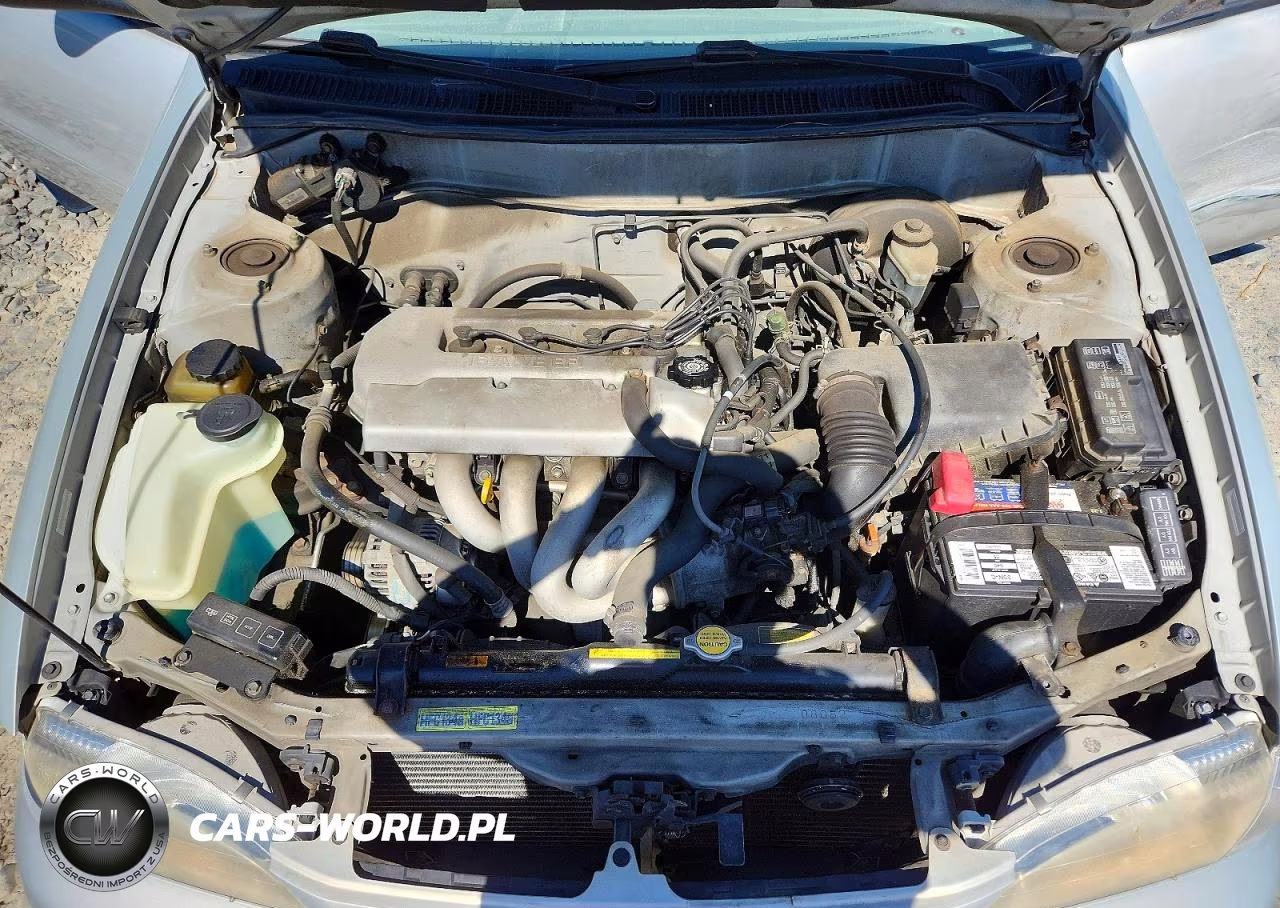 1999 Toyota Corolla Ve VIN:1NXBR12E7XZ296369 - 11