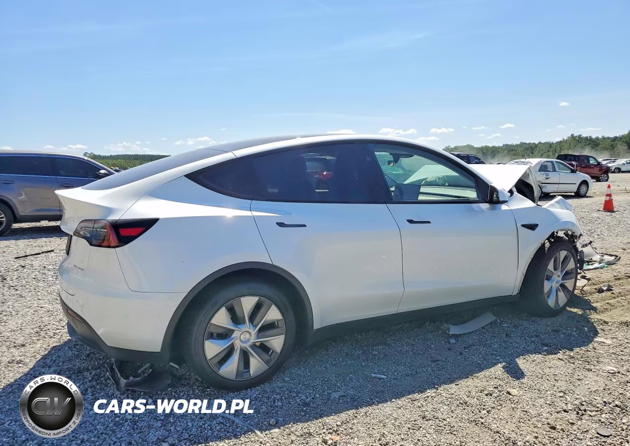 2023 Tesla Model Y VIN:7SAYGDEE2PA190678 - 3