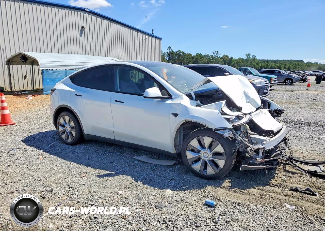 2023 Tesla Model Y VIN:7SAYGDEE2PA190678 - 4