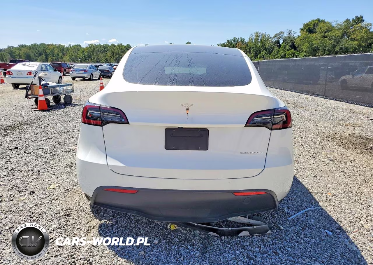 2023 Tesla Model Y VIN:7SAYGDEE2PA190678 - 6