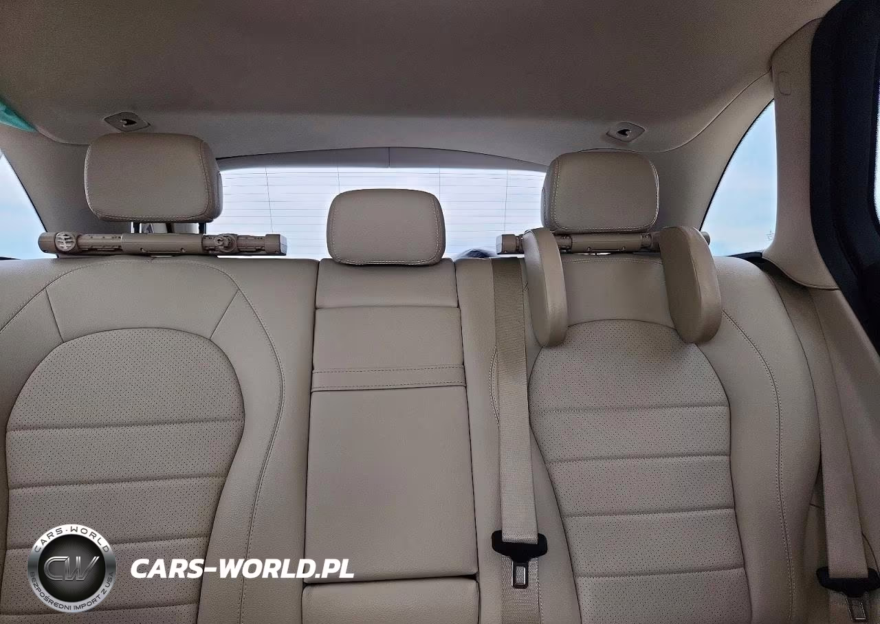 2020 Mercedes-Benz Glc 300 VIN:W1N0G8DB4LV255949 - 10