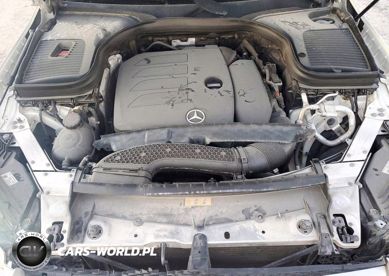 2020 Mercedes-Benz Glc 300 VIN:W1N0G8DB4LV255949 - 12