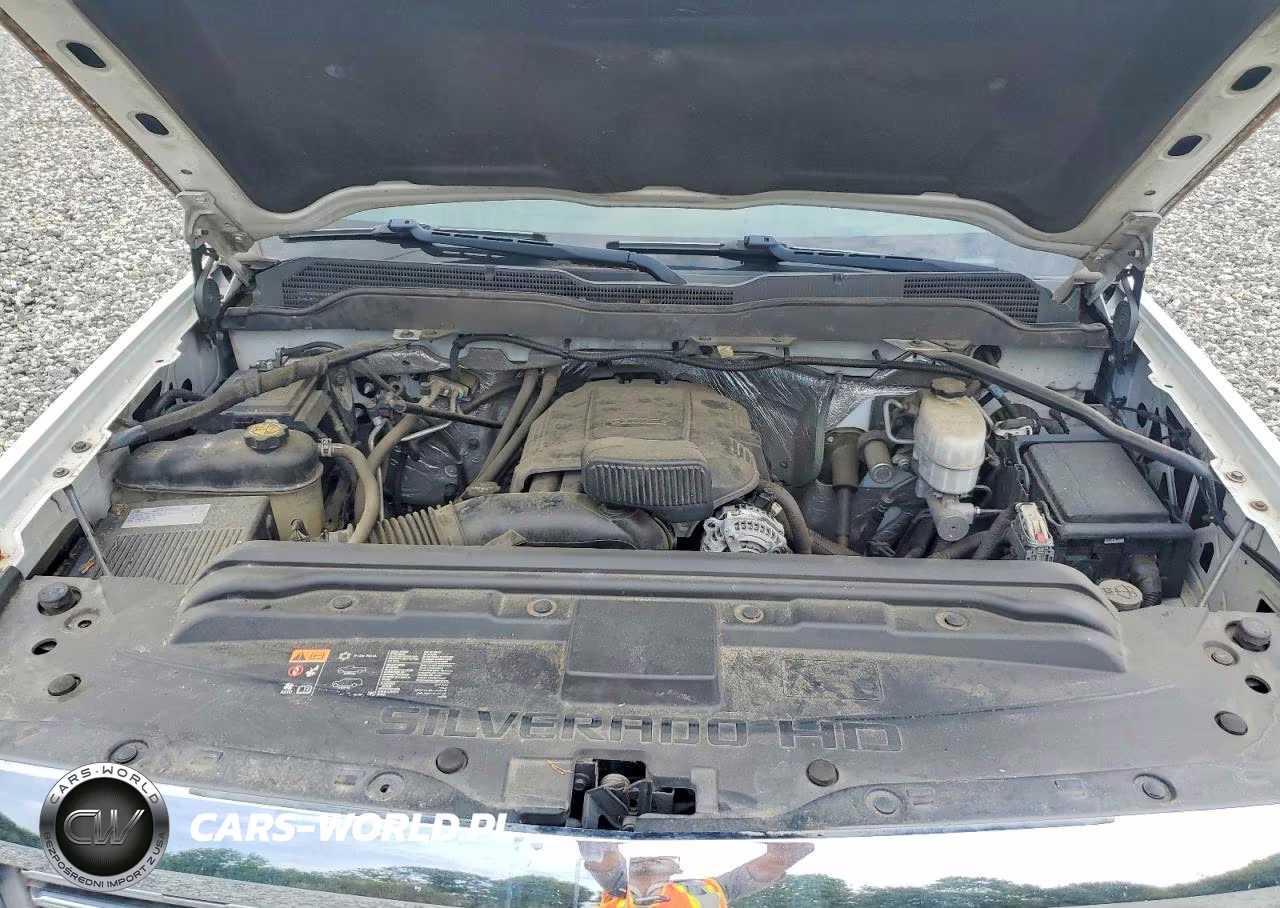 2018 Chevrolet Silverado C2500 Heavy Duty VIN:1GC2CUEG0JZ261963 - 11