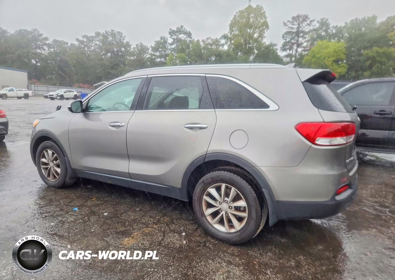 2017 Kia Sorento Lx VIN:5XYPG4A32HG254650 - 2