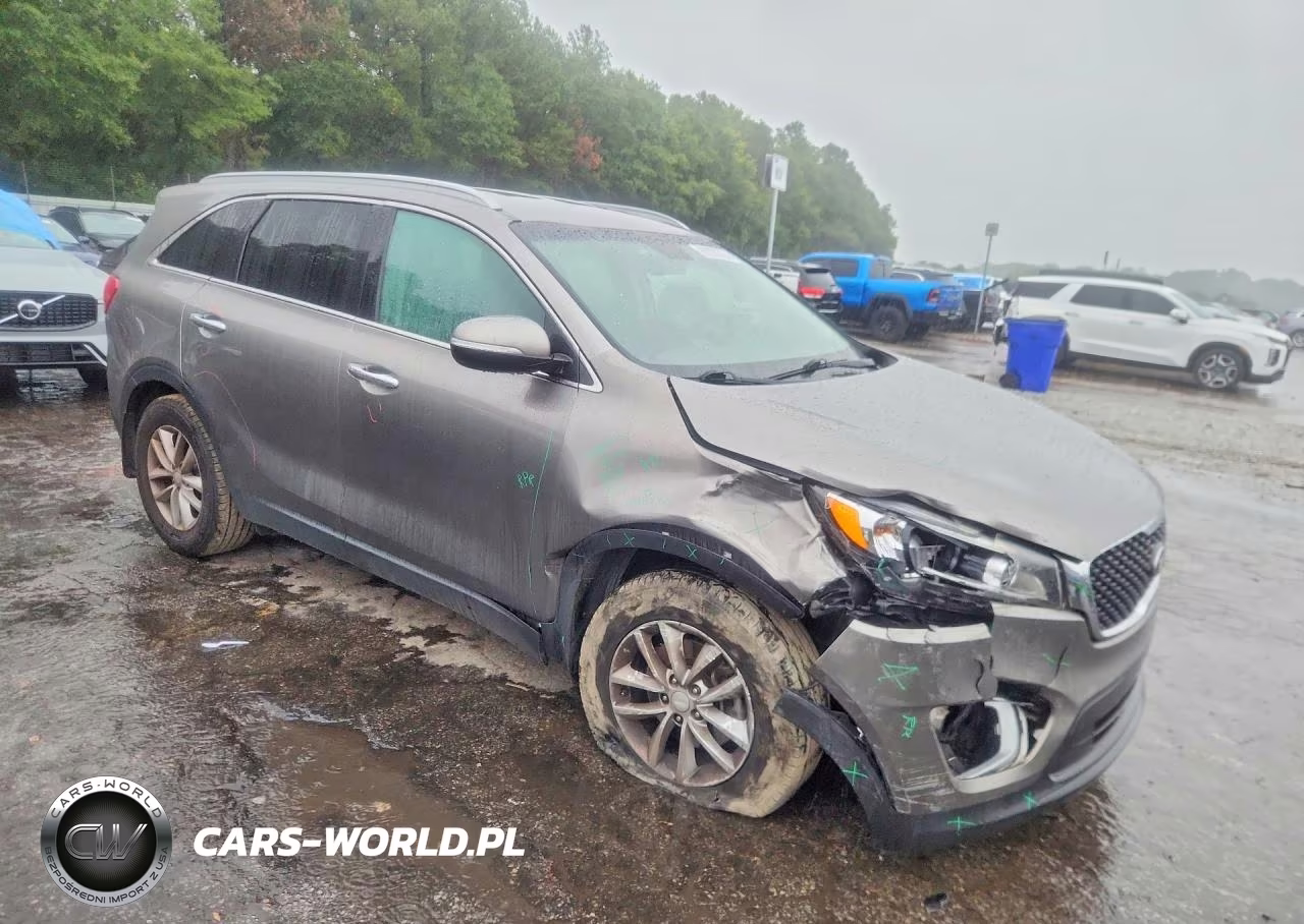 2017 Kia Sorento Lx VIN:5XYPG4A32HG254650 - 4