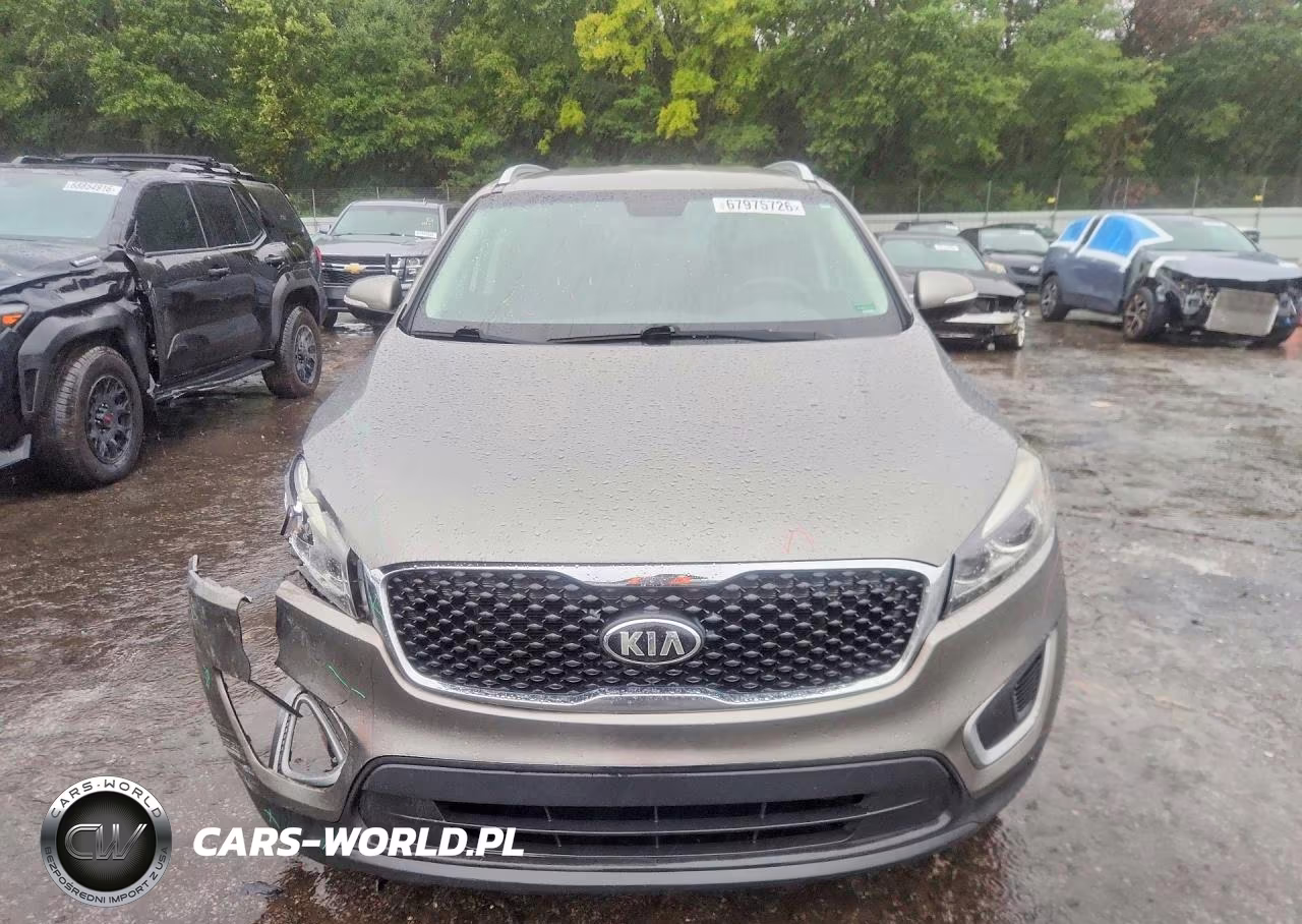 2017 Kia Sorento Lx VIN:5XYPG4A32HG254650 - 5