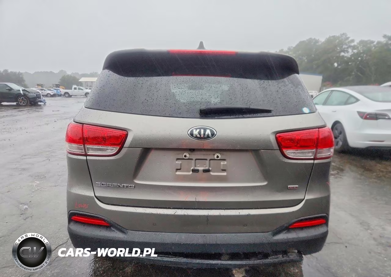 2017 Kia Sorento Lx VIN:5XYPG4A32HG254650 - 6