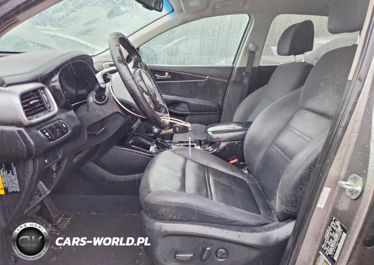 2017 Kia Sorento Lx VIN:5XYPG4A32HG254650 - 7