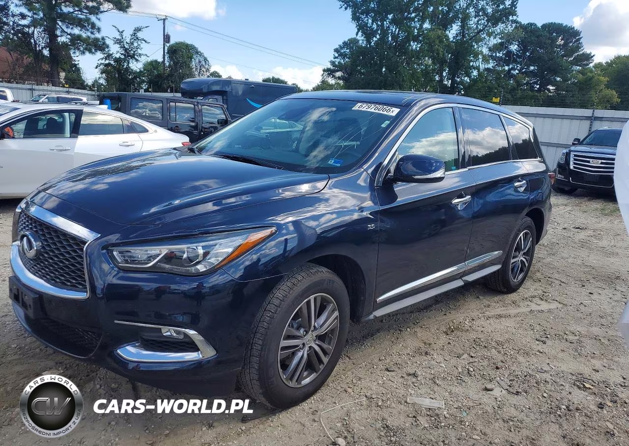 2019 Infiniti Qx60 Pure VIN:5N1DL0MM7KC508632 - 1
