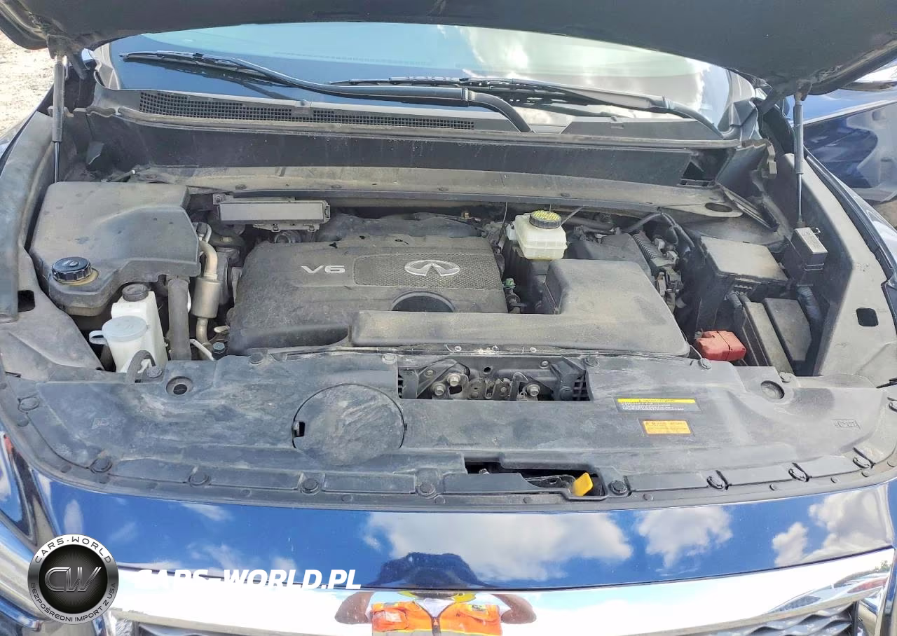 2019 Infiniti Qx60 Pure VIN:5N1DL0MM7KC508632 - 12