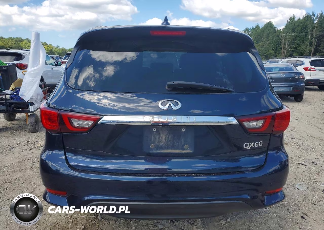 2019 Infiniti Qx60 Pure VIN:5N1DL0MM7KC508632 - 6