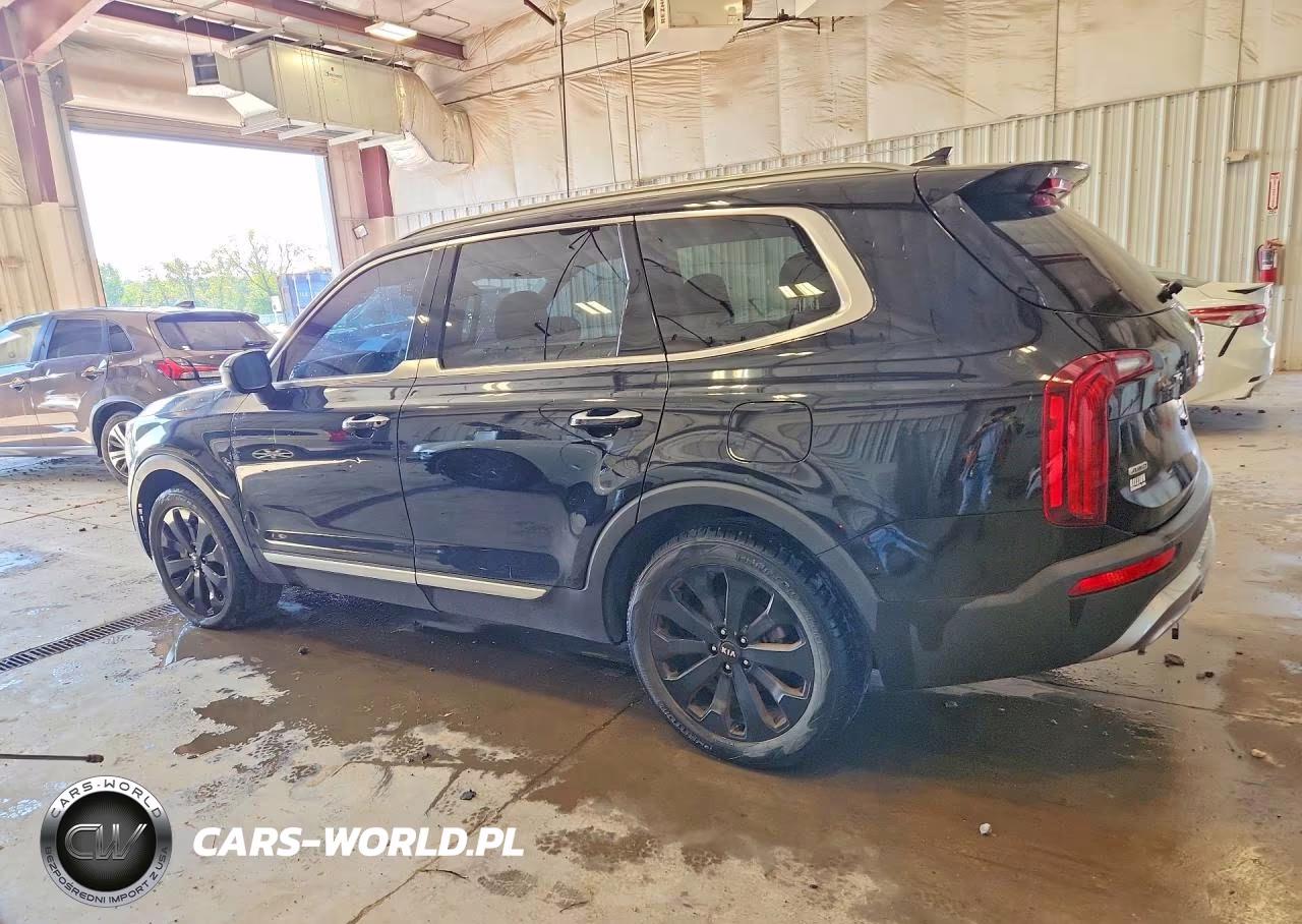 2020 Kia Telluride S VIN:5XYP6DHC9LG026176 - 2