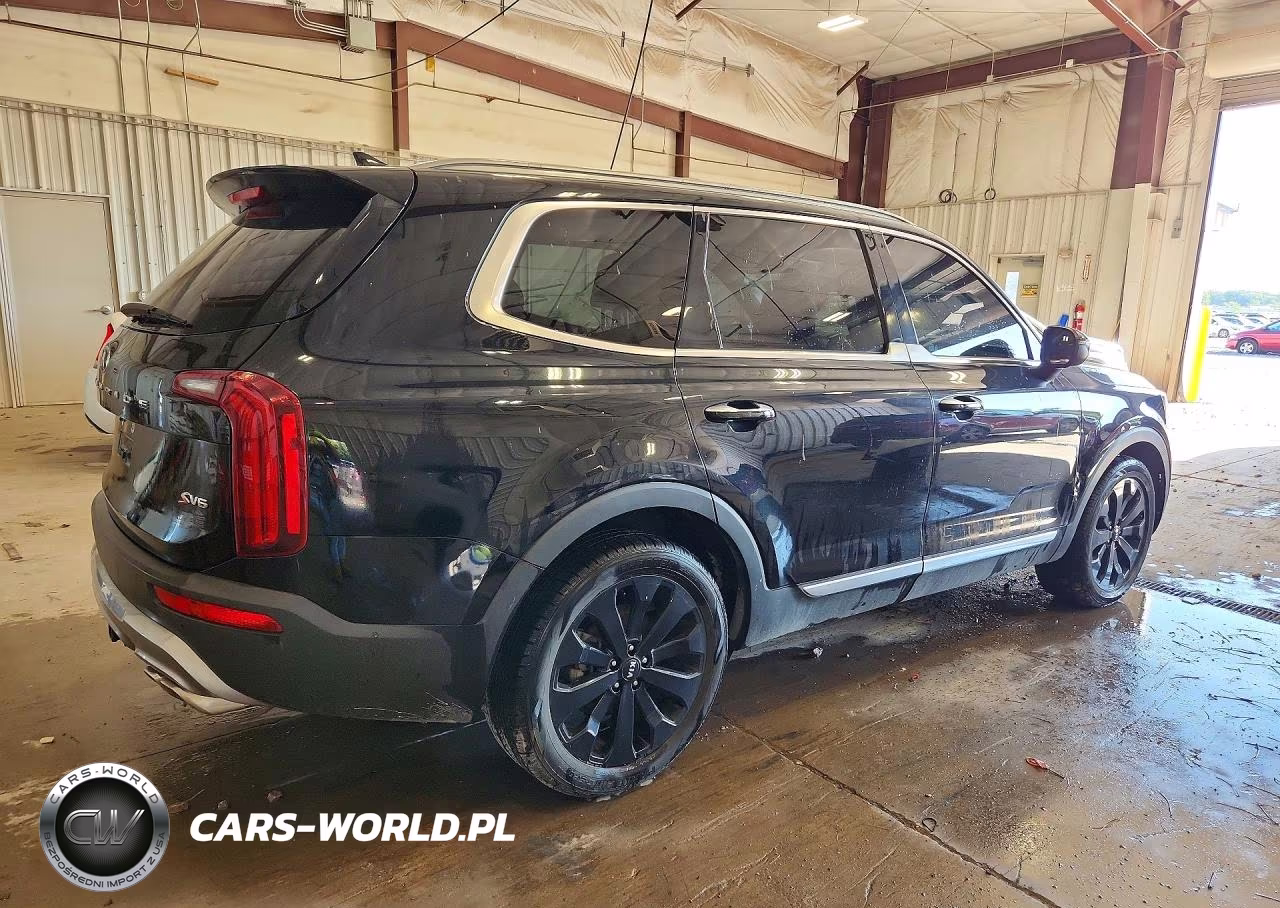 2020 Kia Telluride S VIN:5XYP6DHC9LG026176 - 3