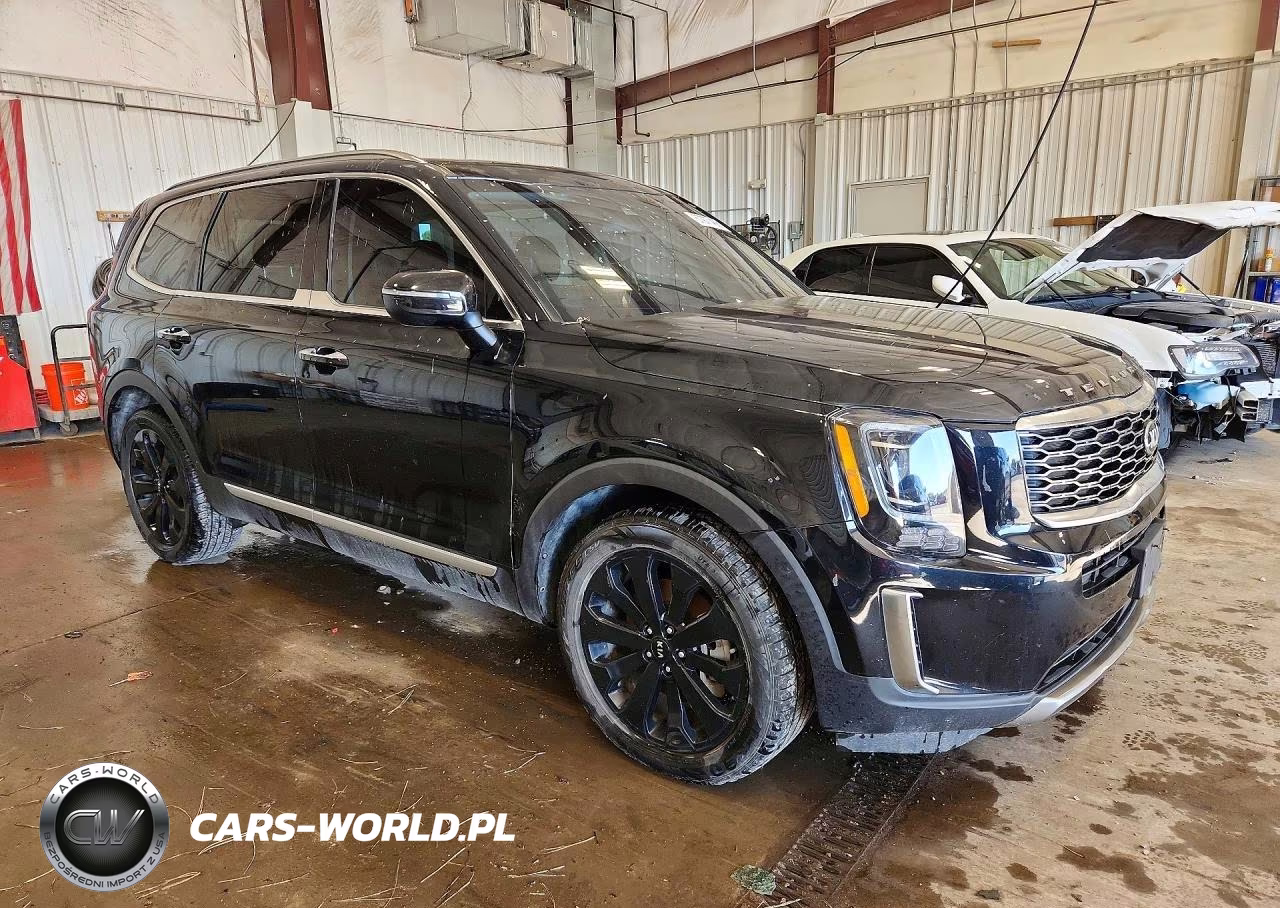 2020 Kia Telluride S VIN:5XYP6DHC9LG026176 - 4
