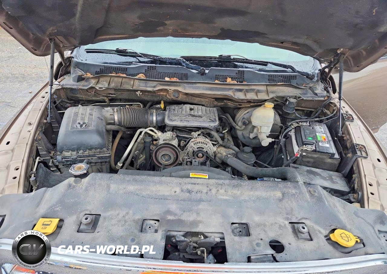 2010 Dodge Ram 1500 VIN:3D7JB1EK5AG118580 - 11