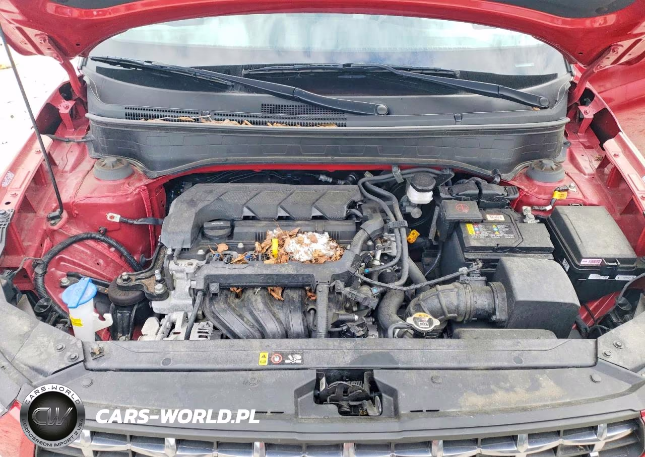 2024 Hyundai Venue Sel VIN:KMHRC8A35RU307204 - 11