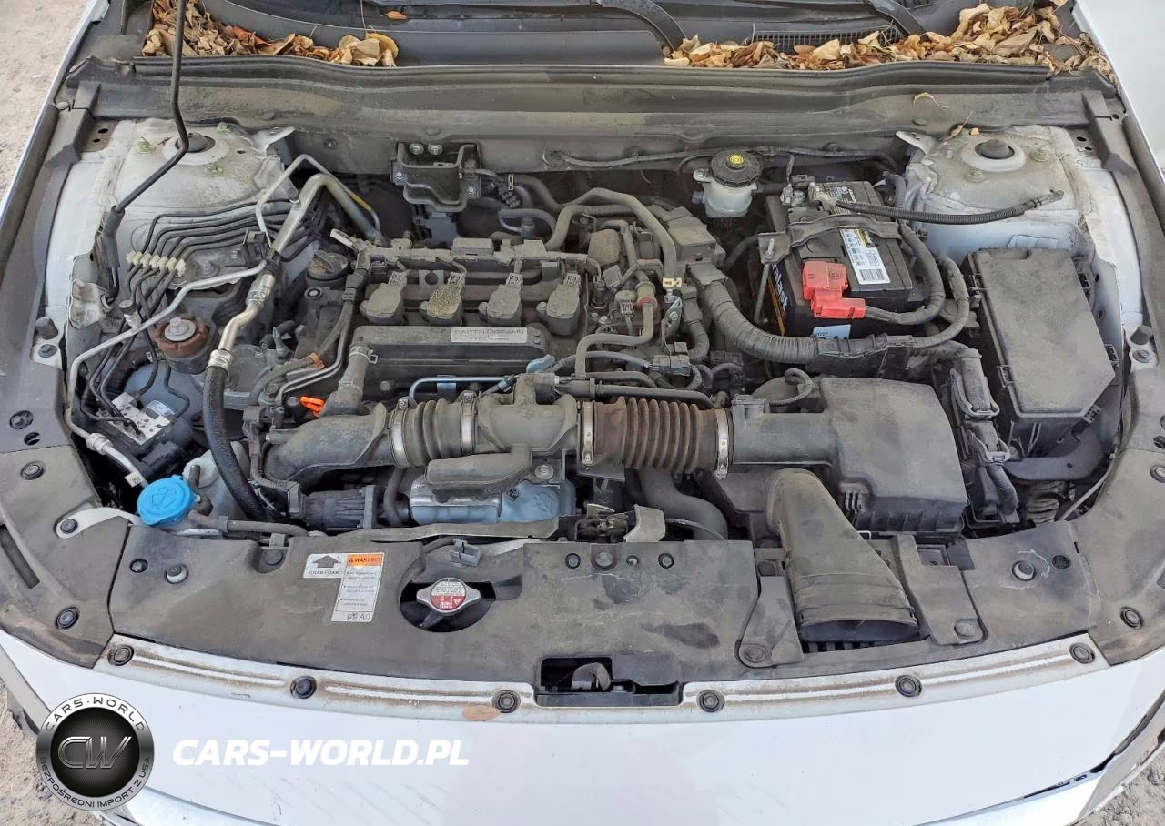 2019 Honda Accord Lx VIN:1HGCV1F19KA168805 - 11