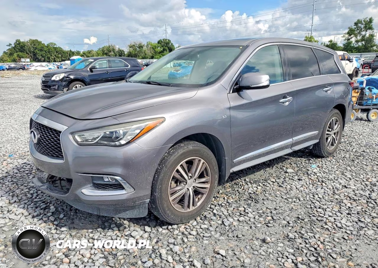 2019 Infiniti Qx60 Pure VIN:5N1DL0MM8KC534639 - 1
