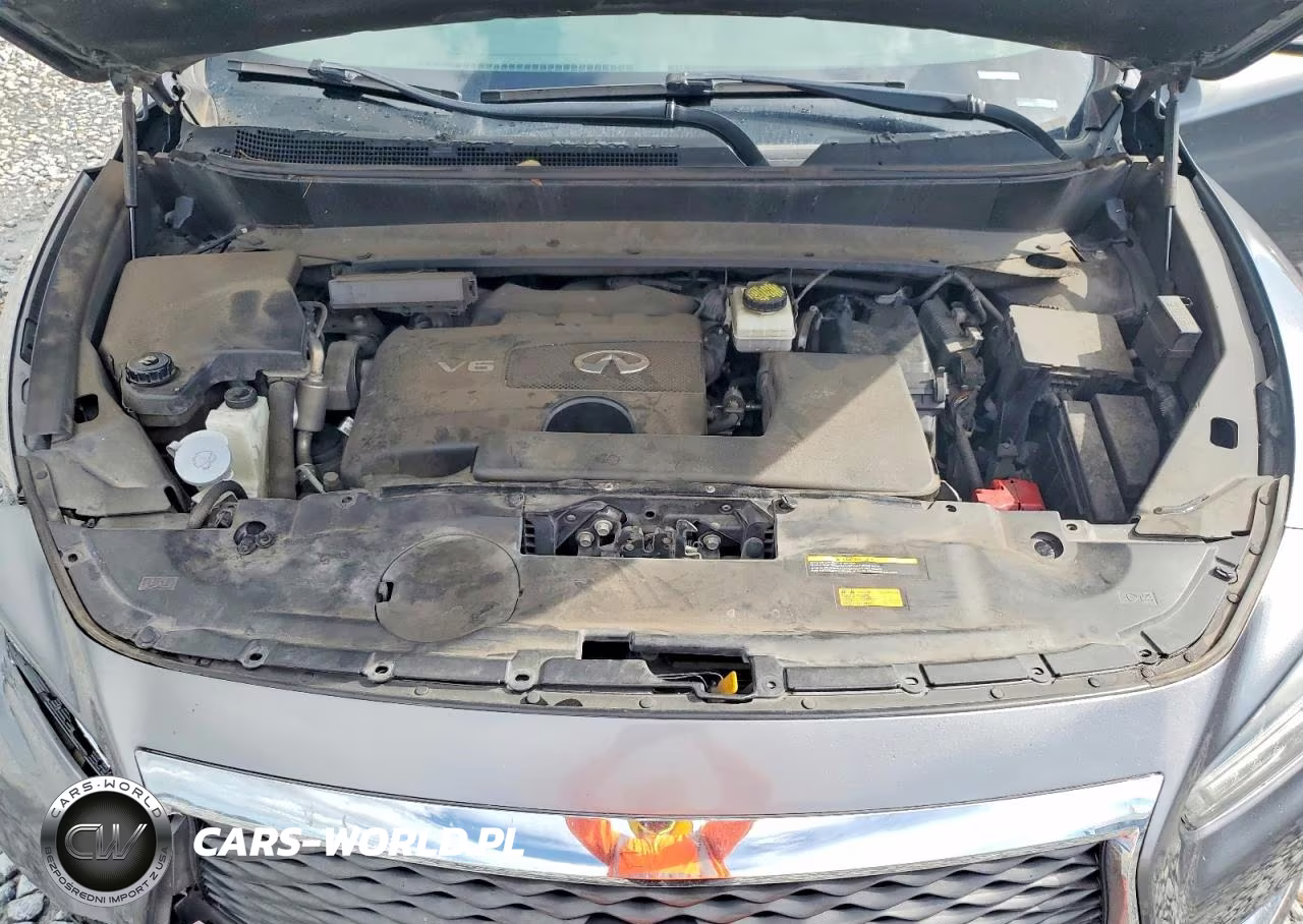 2019 Infiniti Qx60 Pure VIN:5N1DL0MM8KC534639 - 12