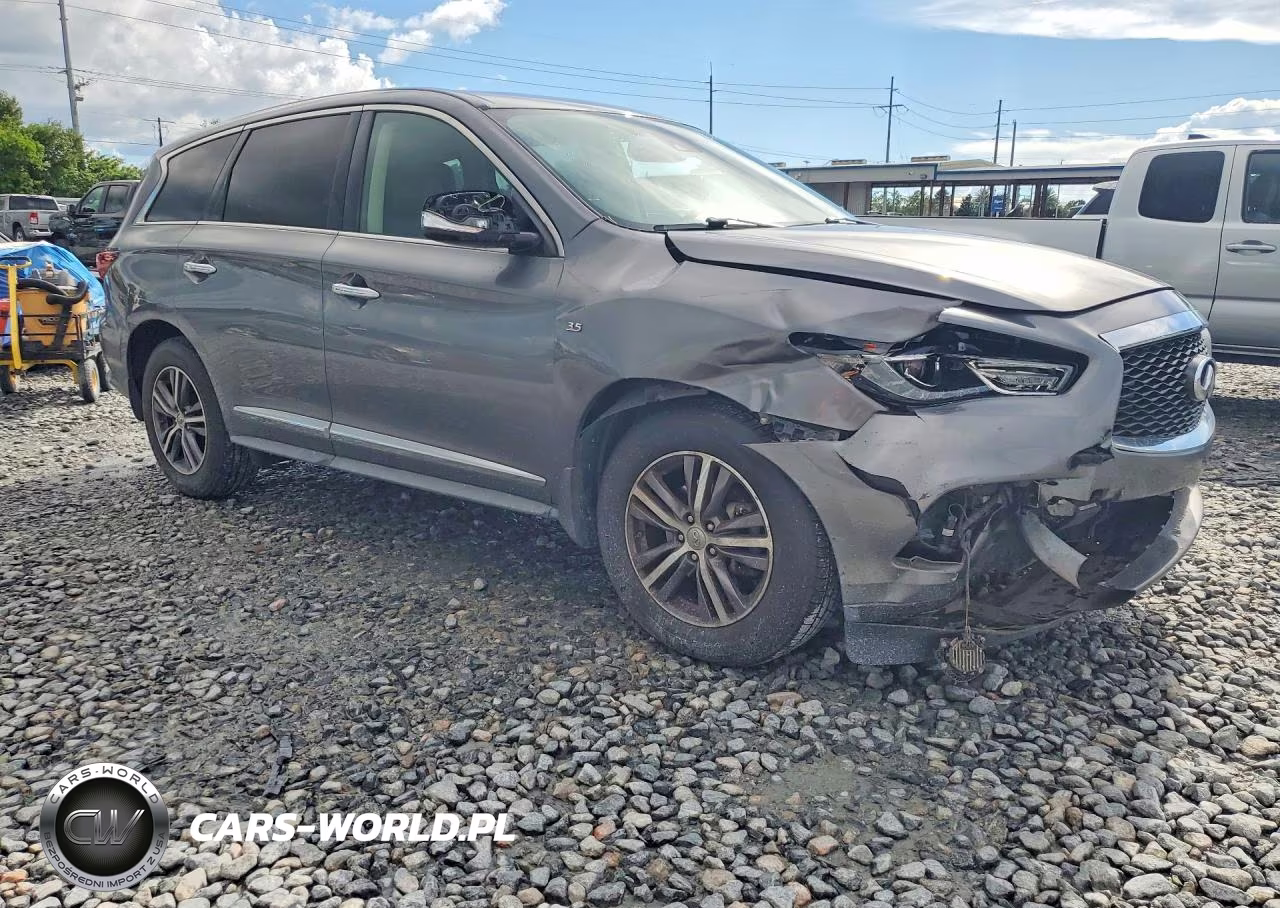 2019 Infiniti Qx60 Pure VIN:5N1DL0MM8KC534639 - 4
