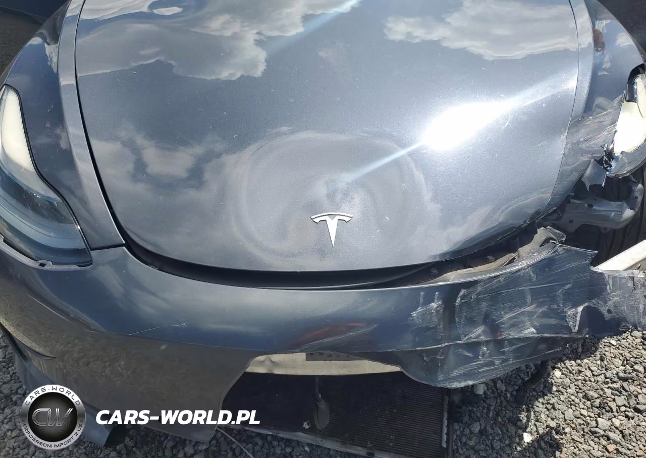 2021 Tesla Model 3 VIN:5YJ3E1EA4MF087642 - 11